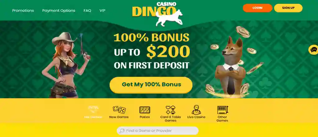 dingo sign up step by step -1