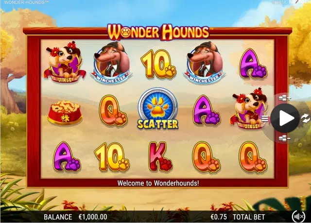 Wonder Hounds