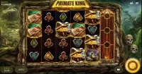Primate King